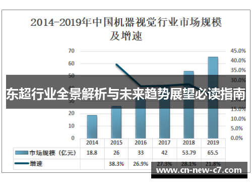 东超行业全景解析与未来趋势展望必读指南