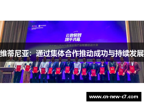 维蒂尼亚：通过集体合作推动成功与持续发展