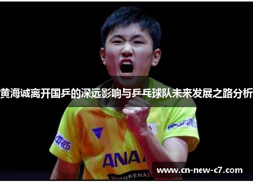 黄海诚离开国乒的深远影响与乒乓球队未来发展之路分析
