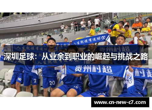 深圳足球:从业余到职业的崛起与挑战之路 深圳足球:从业余到职业的崛起与挑战之路