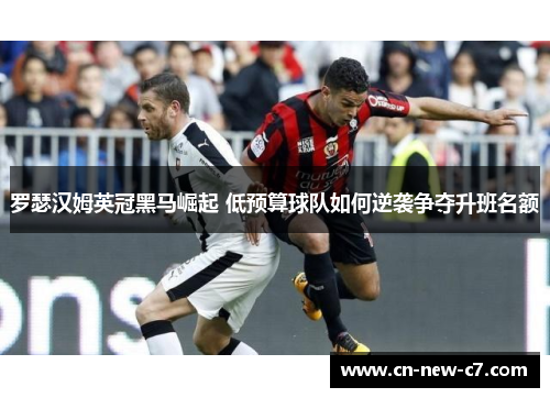 罗瑟汉姆英冠黑马崛起 低预算球队如何逆袭争夺升班名额