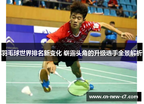 羽毛球世界排名新变化 崭露头角的升级选手全景解析