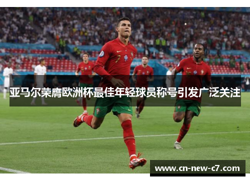 亚马尔荣膺欧洲杯最佳年轻球员称号引发广泛关注 亚马尔荣膺欧洲杯最佳年轻球员称号引发广泛关注